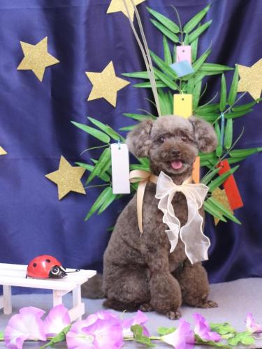 20230719モカくん